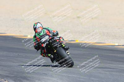 media/Mar-10-2024-SoCal Trackdays (Sun) [[6228d7c590]]/9-Turn 8 Backside (1150am)/